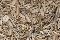 biomass boilers Stocking