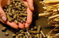 free Stocking biomass boiler quotes